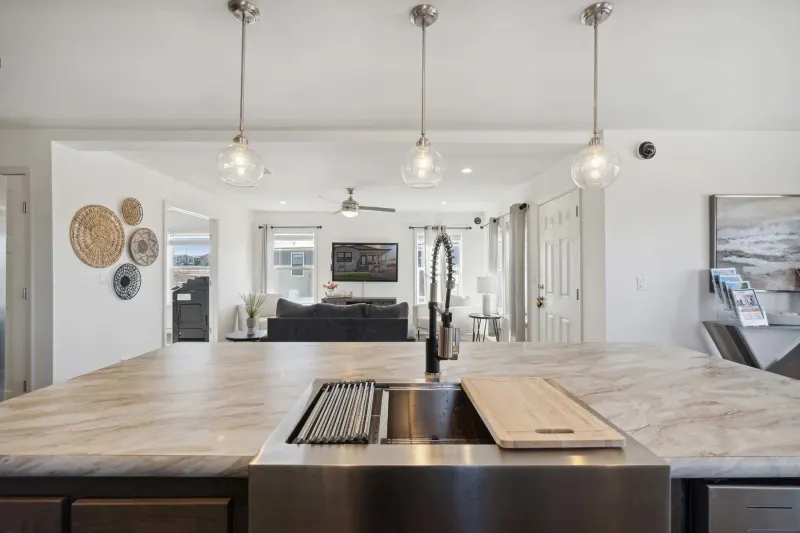 Apollo kitchen home features