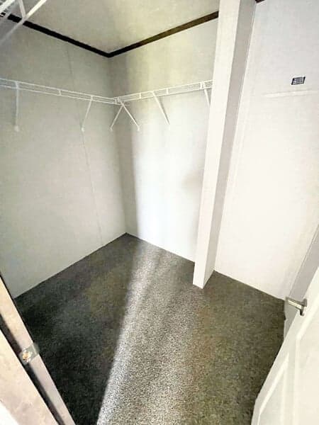 The declaration  interior home features